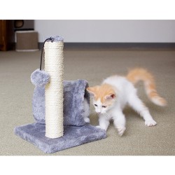 Cat Scratcher with Tunnel 